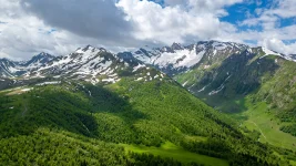 DJI_0779.webp