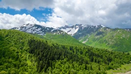 DJI_0754.webp