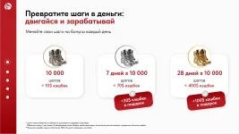 1786651677431.webp
