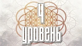 1780867610214.webp
