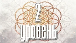 1780867691385.webp